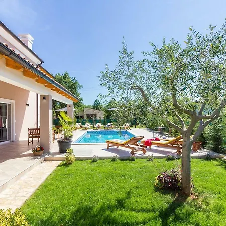 Luxurious Mediterranean House